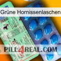 Grüne Hornissenlaschen new02